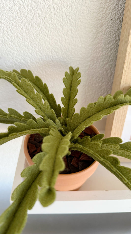 Workshop Viltplantje 20 juni '26