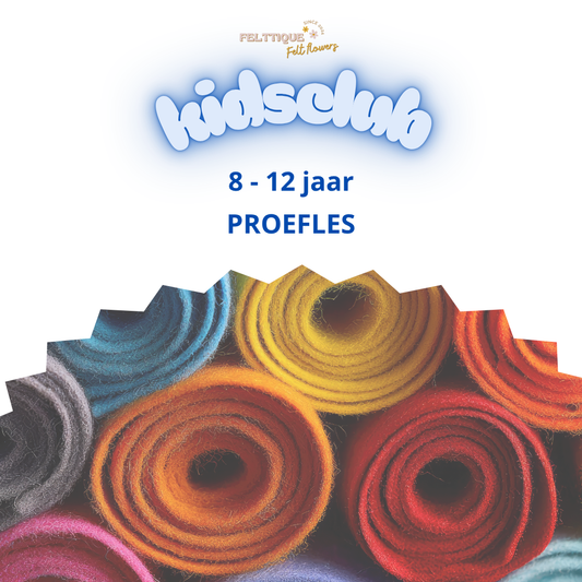 Proefles Kidsclub 8-12 jaar