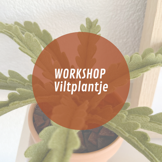 Workshop Viltplantje 9 juli '26