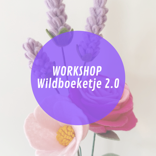 Workshop Wildboeketje2.0 11 juni '26