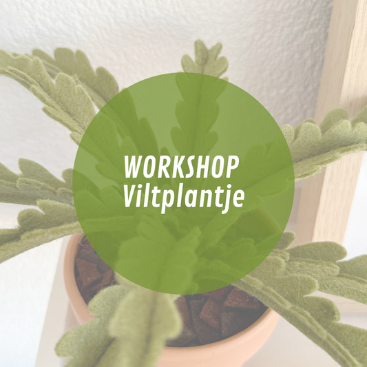 Workshop Viltplantje 28 mei '26
